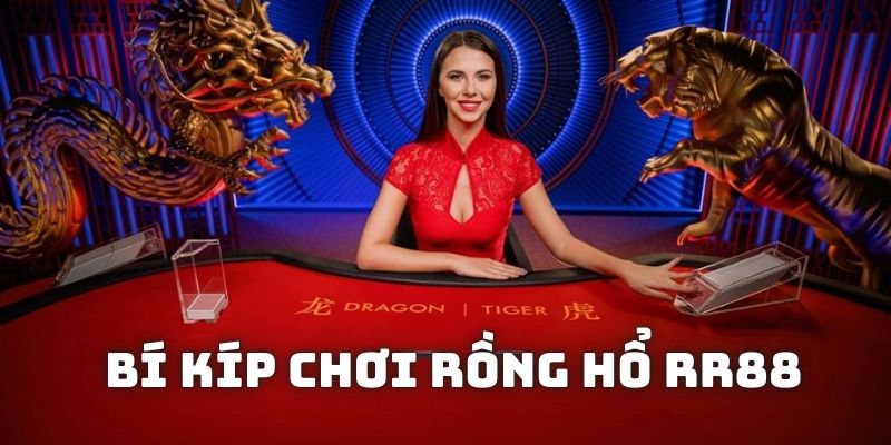 Gợi ý một vài phương pháp soi cầu Dragon Tiger siêu chuẩn